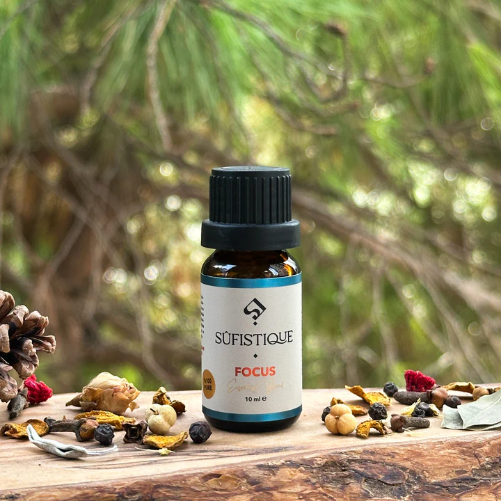 Konsantrasyon Ve Odaklanma